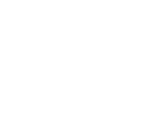 Footer Logo mastercard